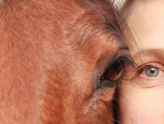 Иппотерапия — магия оздоровления