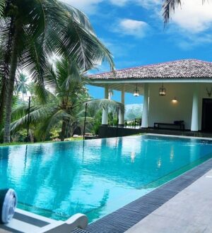 Отдых на Шри-Ланке